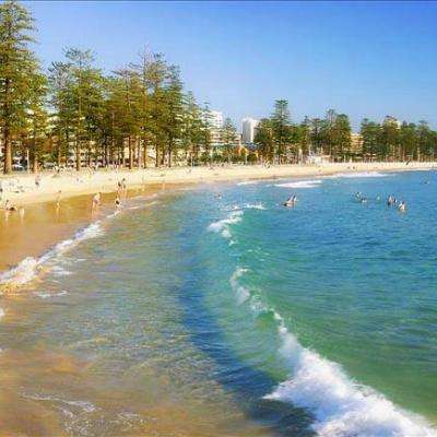 im电竞在线登录